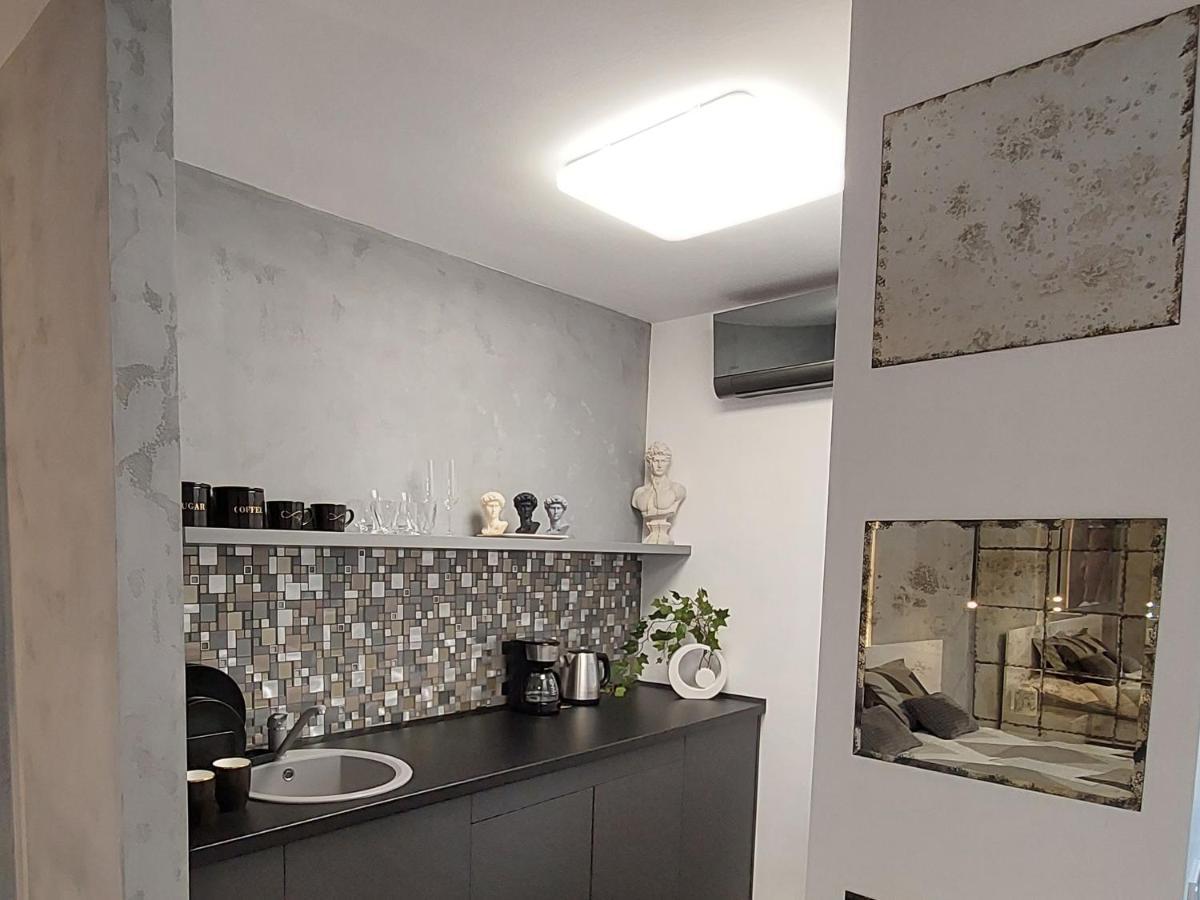 David'S Studio Temešvár Exteriér fotografie